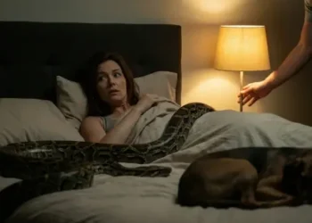 Brisbane’de pitonla uyandı:Gece göğsünde ağırlık hisseden Bloo, lambayı yakınca 2,5 metrelik göz göze