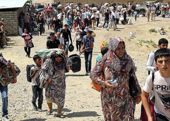 DEM Parti Sözcüsü Doğan: Kürt kadının saçını kesen kişi ‘ordu’ mensubu