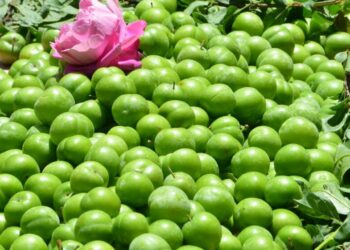 Kilo fiyatını duyan donup kalıyor:Yeşil erik gram altını solladı