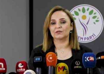 DEM Parti:’Yasanın uygulanması için kurullar oluşturulmalı’